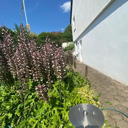Ferienwohnung Loewenzahn Fischingen Exterior photo